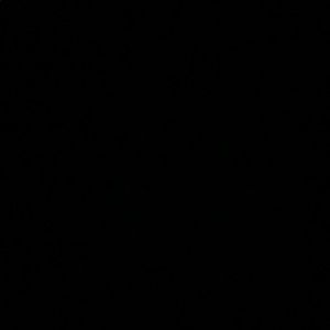 Meet your Posher, Avrey